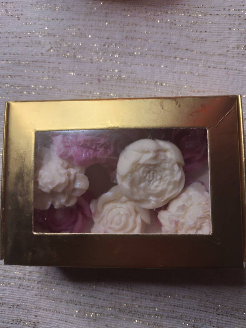 Waxmelts Hesperide Serenade - 100% Natuurlijk