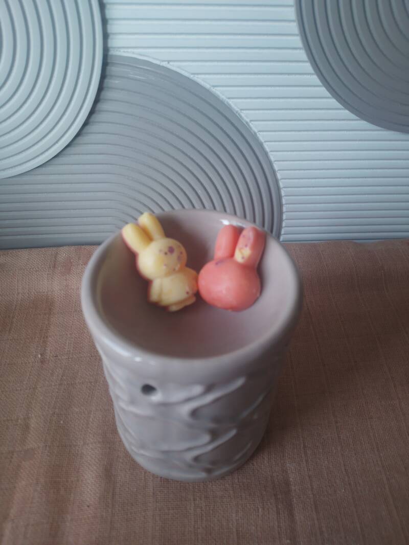 Nijntje waxmelts